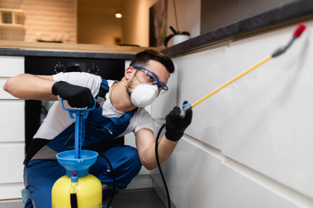 Best Wasp Removal Services  in Olga, FL