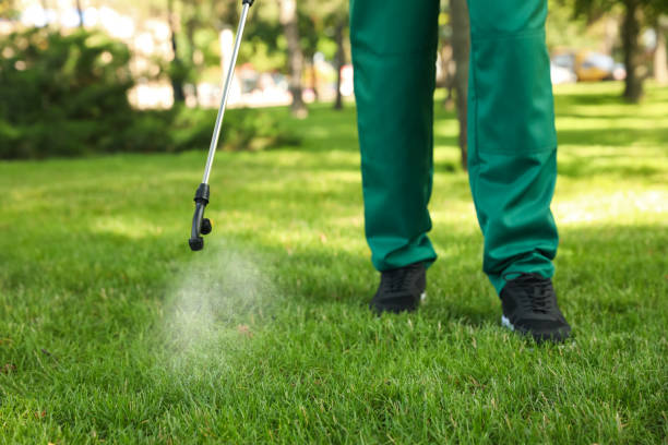 Professional Pest Control in Olga, FL