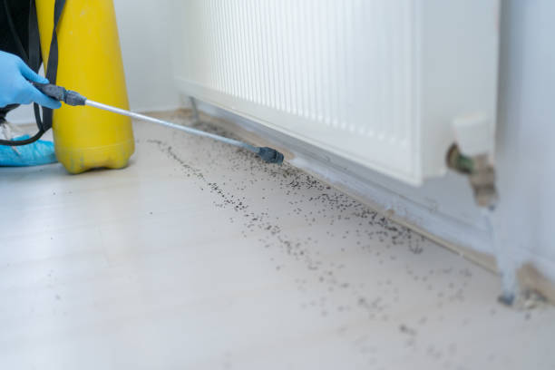 Best Bed Bug Extermination  in Olga, FL