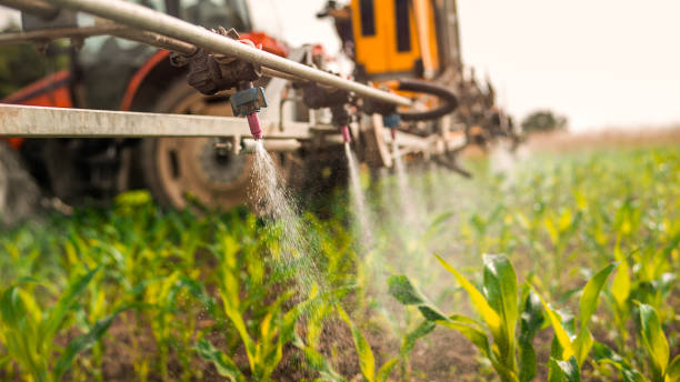 Pest Control Cost in Olga, FL